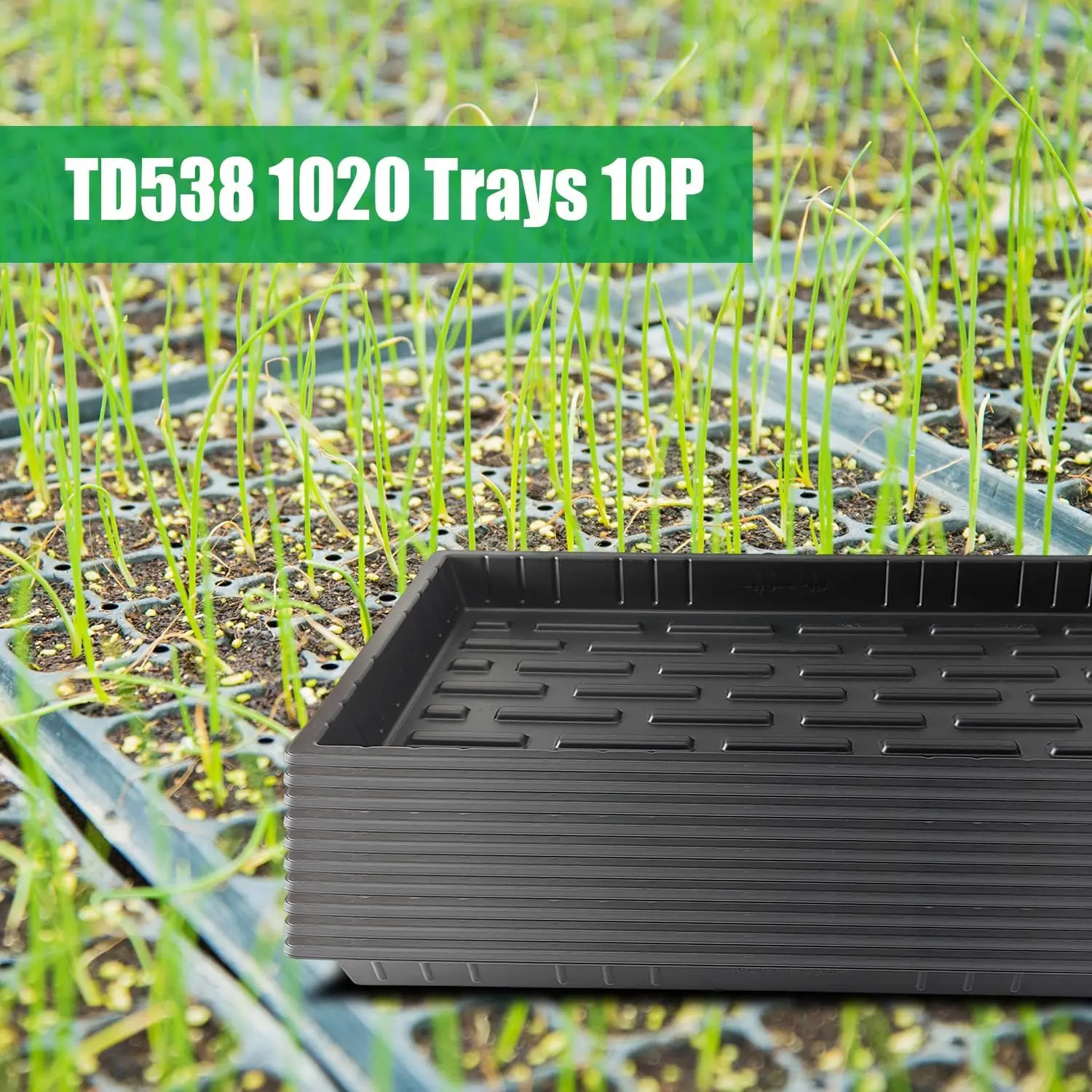 Ten Pack Seed Starter Trays An - Nursery Plug Tray 评论和价格