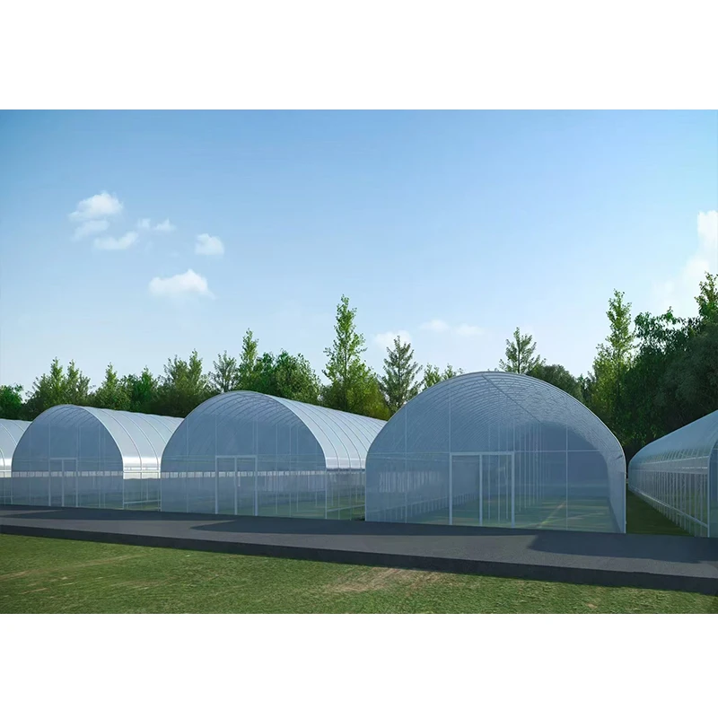 # l Low Cost Farm Singlespan G - Agriculture Farm House 评论和价格