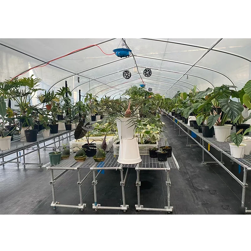 # l Low Cost Farm Singlespan G - Agriculture Farm House 评论和价格