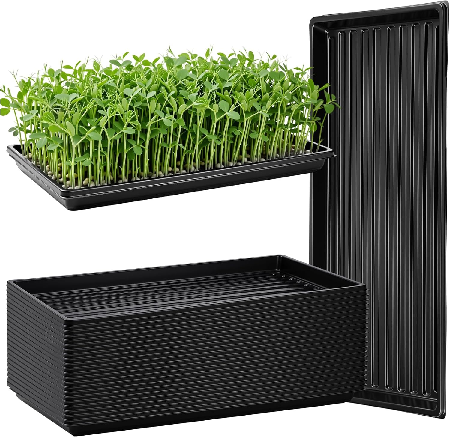 20 Pack 1020 Seed Starting Tra - Nursery Plug Tray 评论和价格