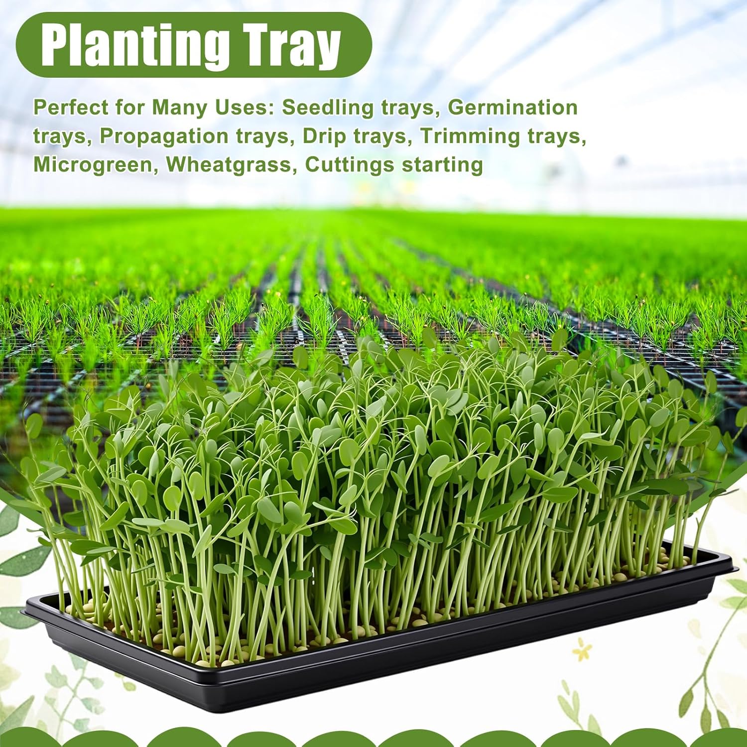 20 Pack 1020 Seed Starting Tra - Nursery Plug Tray 评论和价格