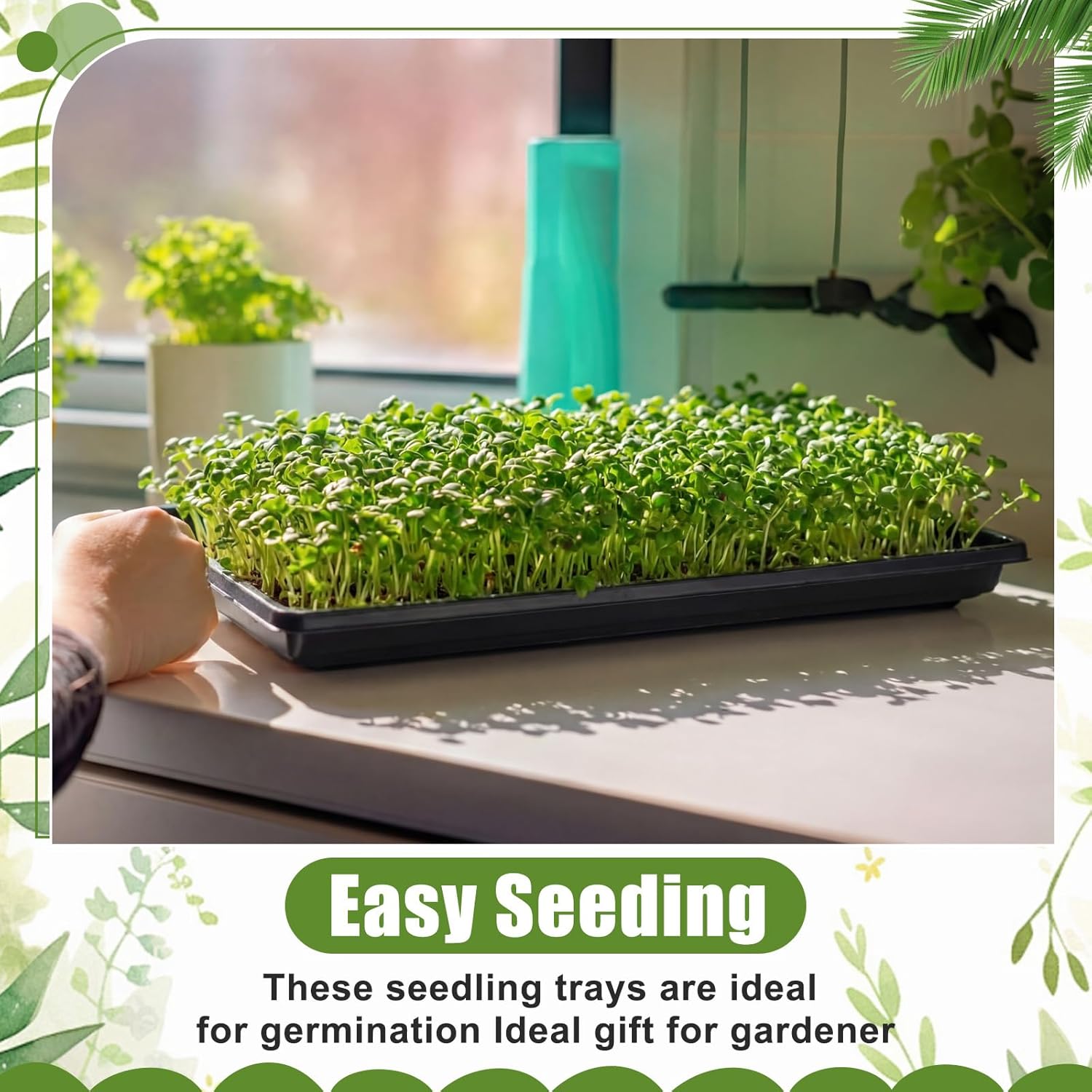 20 Pack 1020 Seed Starting Tra - Nursery Plug Tray 评论和价格
