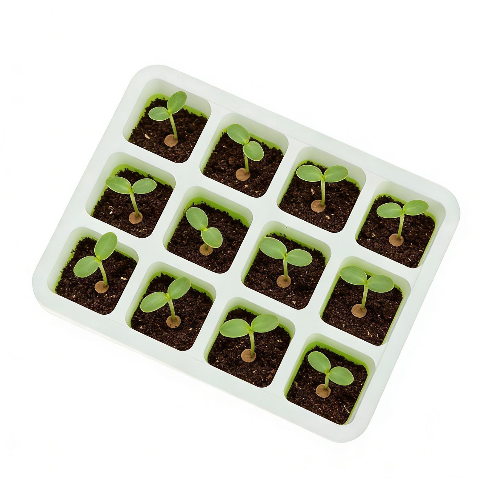 Silicone Plug Seedling Pot Kit - Nursery Plug Tray 评论和价格