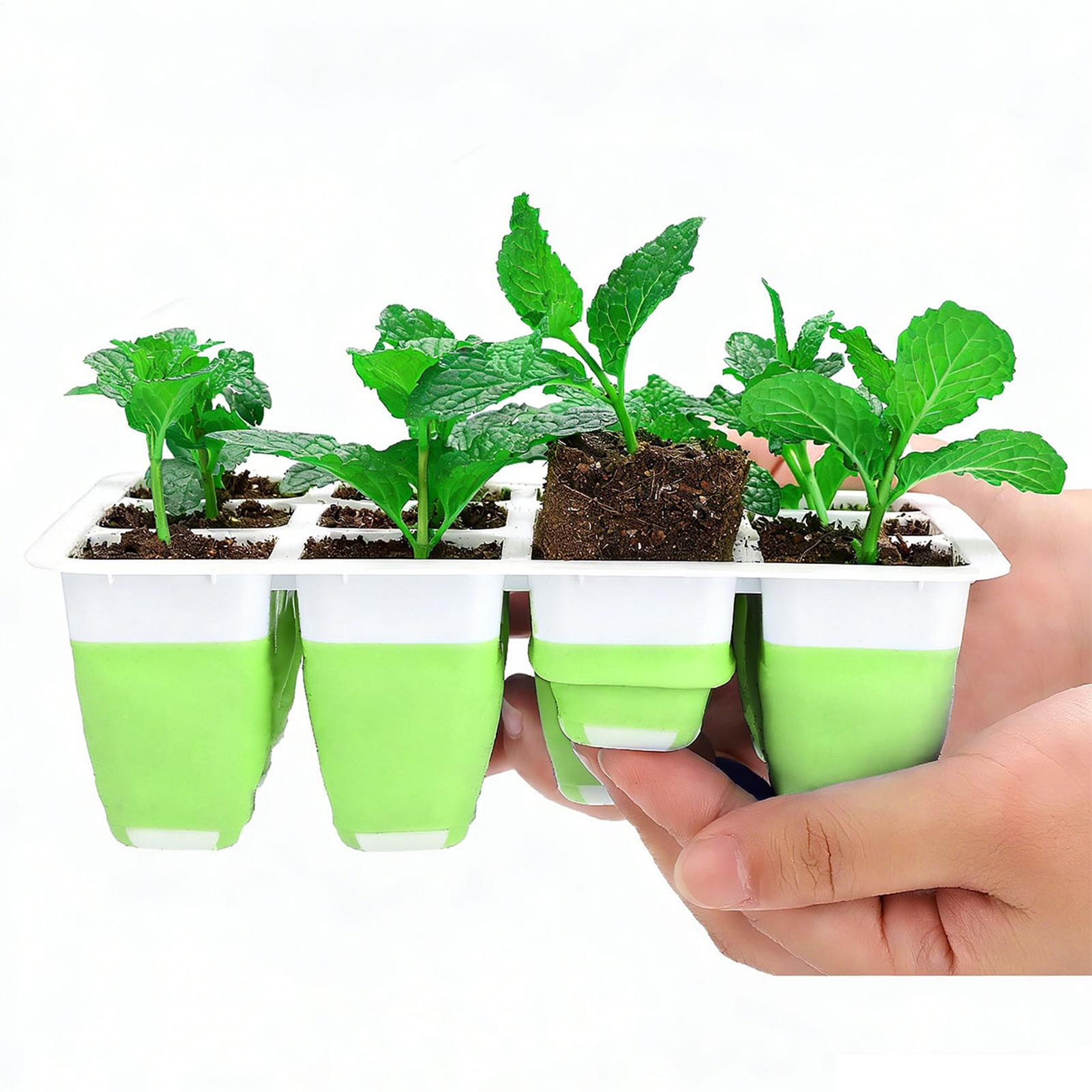 Silicone Plug Seedling Pot Kit - Nursery Plug Tray 评论和价格