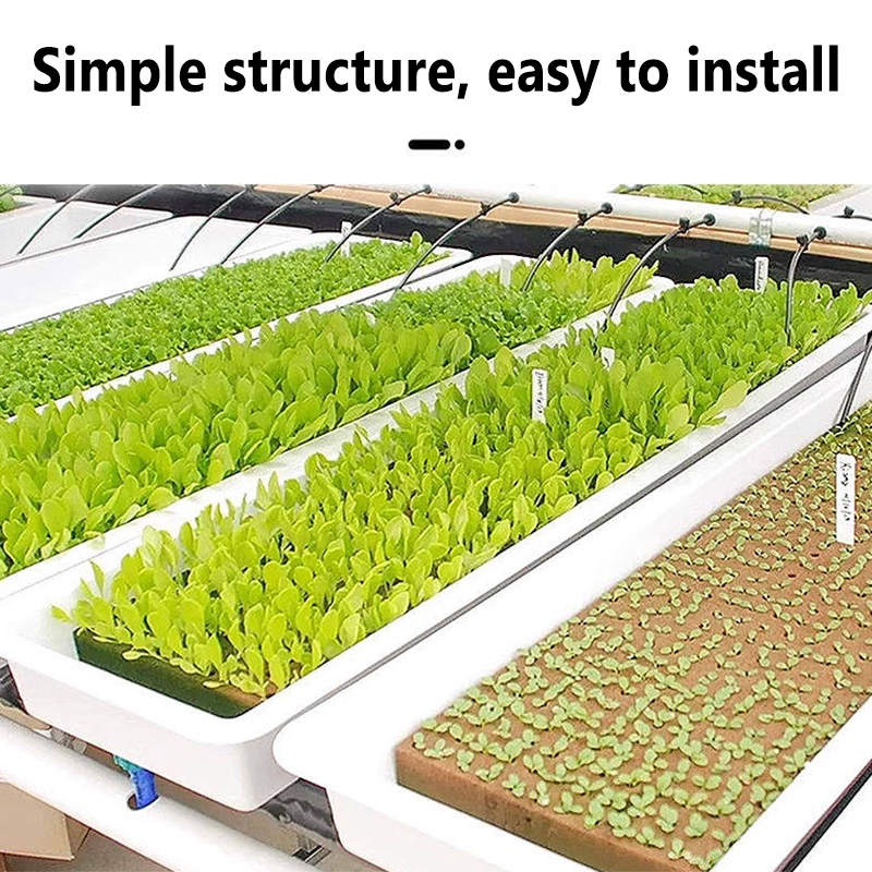 Rock Wool Seedling Trays Breed - Nursery Plug Tray 评论和价格
