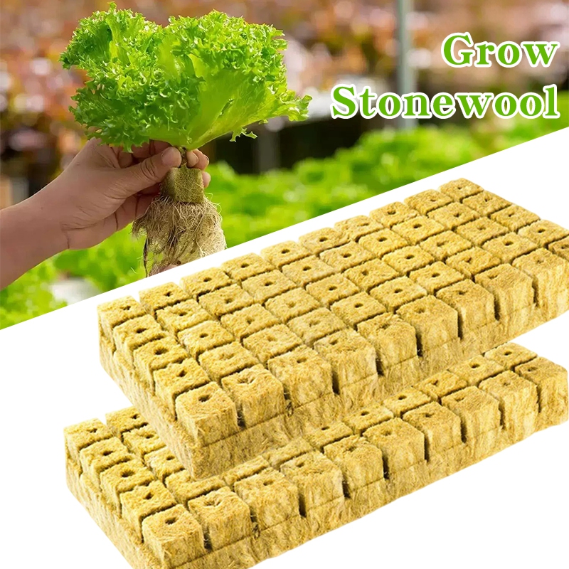 Rock Wool Seedling Trays Breed - Nursery Plug Tray 评论和价格