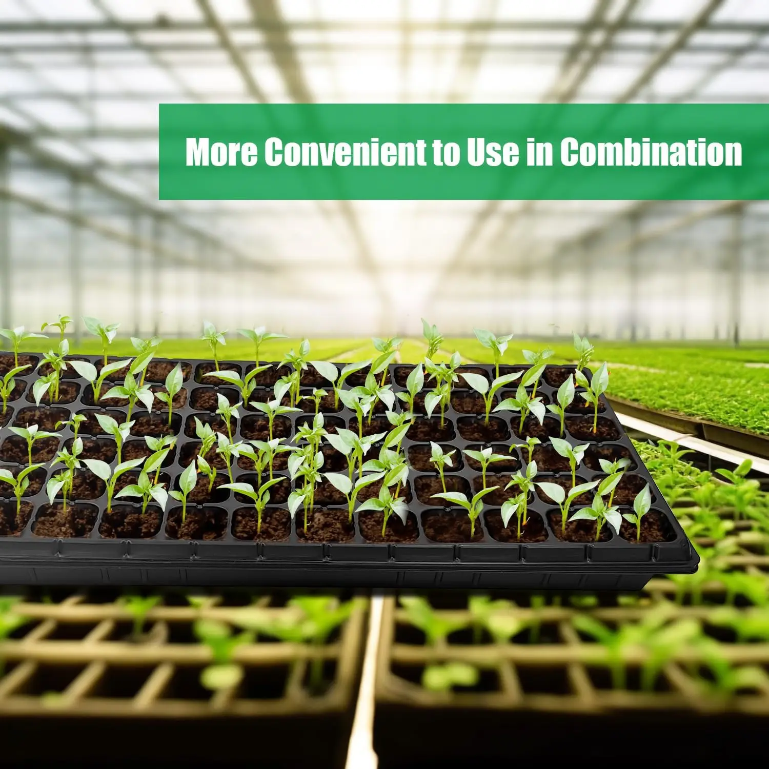Ten Pack Seed Starter Trays An - Nursery Plug Tray 评论和价格