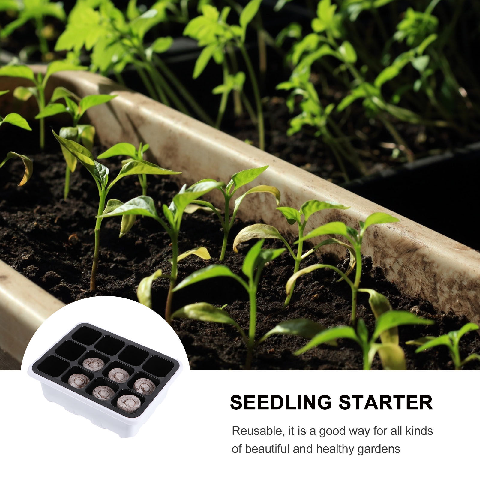 12pcs 1 Set Soil Starter Growi - Nursery Plug Tray 评论和价格