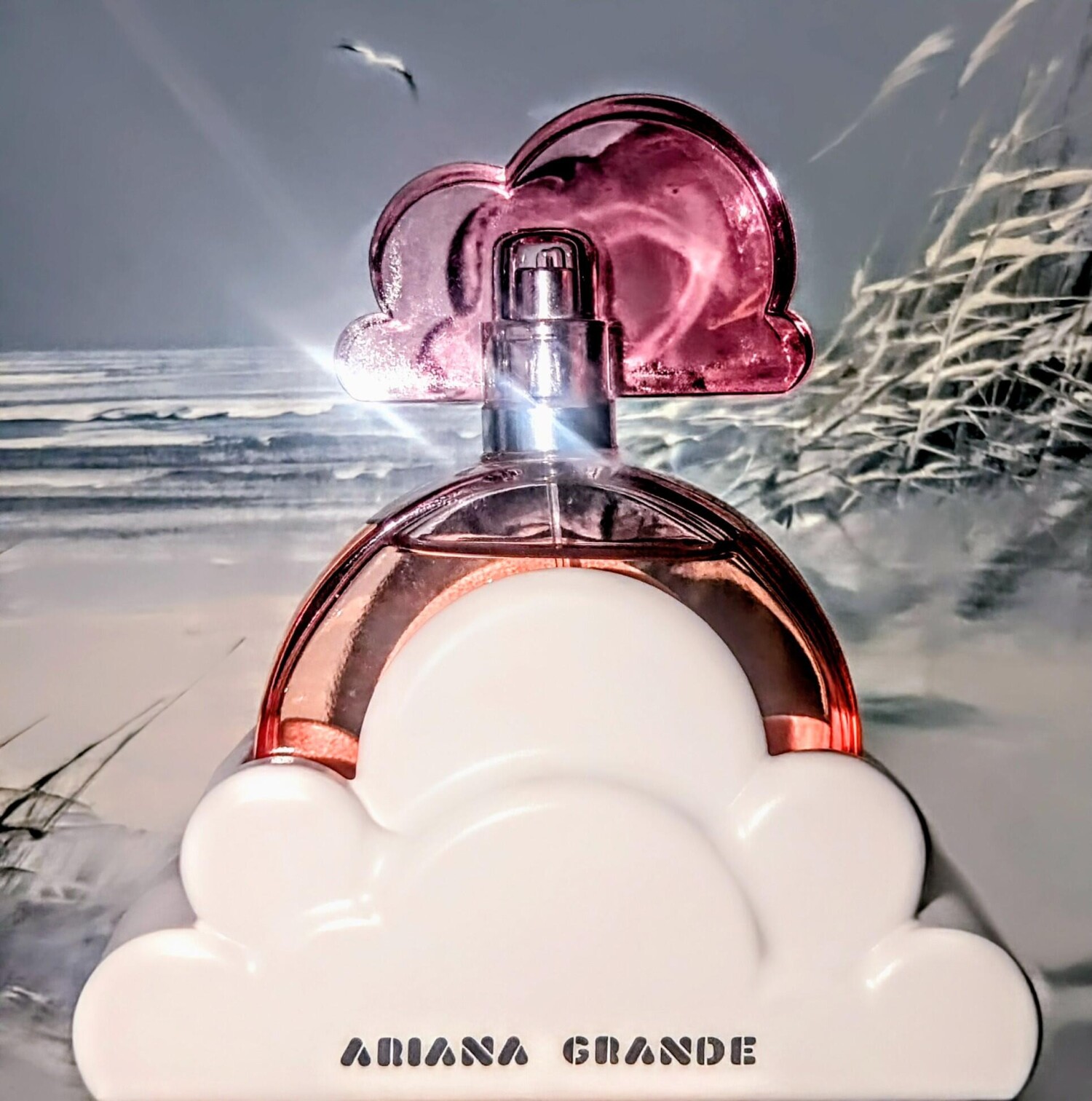 Ariana Grande Perfume for Wome - Orchard Sprayer Tractor 评论和价格