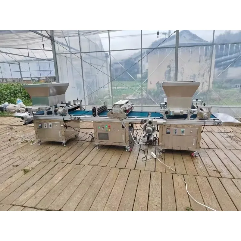 Automatic Sesame Corn Rice Tra - Nursery Plug Tray 评论和价格