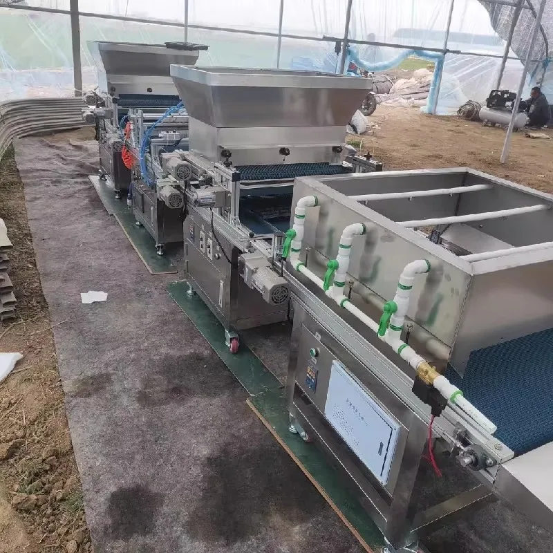 Automatic Sesame Corn Rice Tra - Nursery Plug Tray 评论和价格