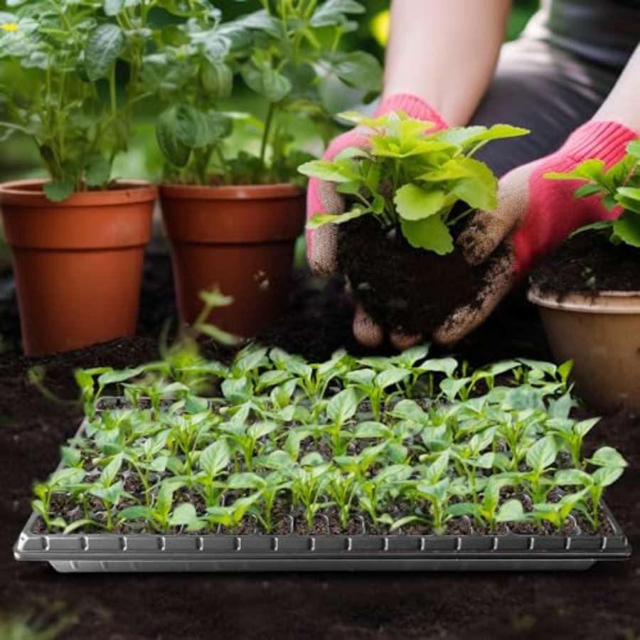 10Pcs 128 Cell Seed Starter Tr - Nursery Plug Tray 评论和价格